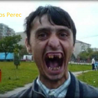 Sajtos Perec profilképe